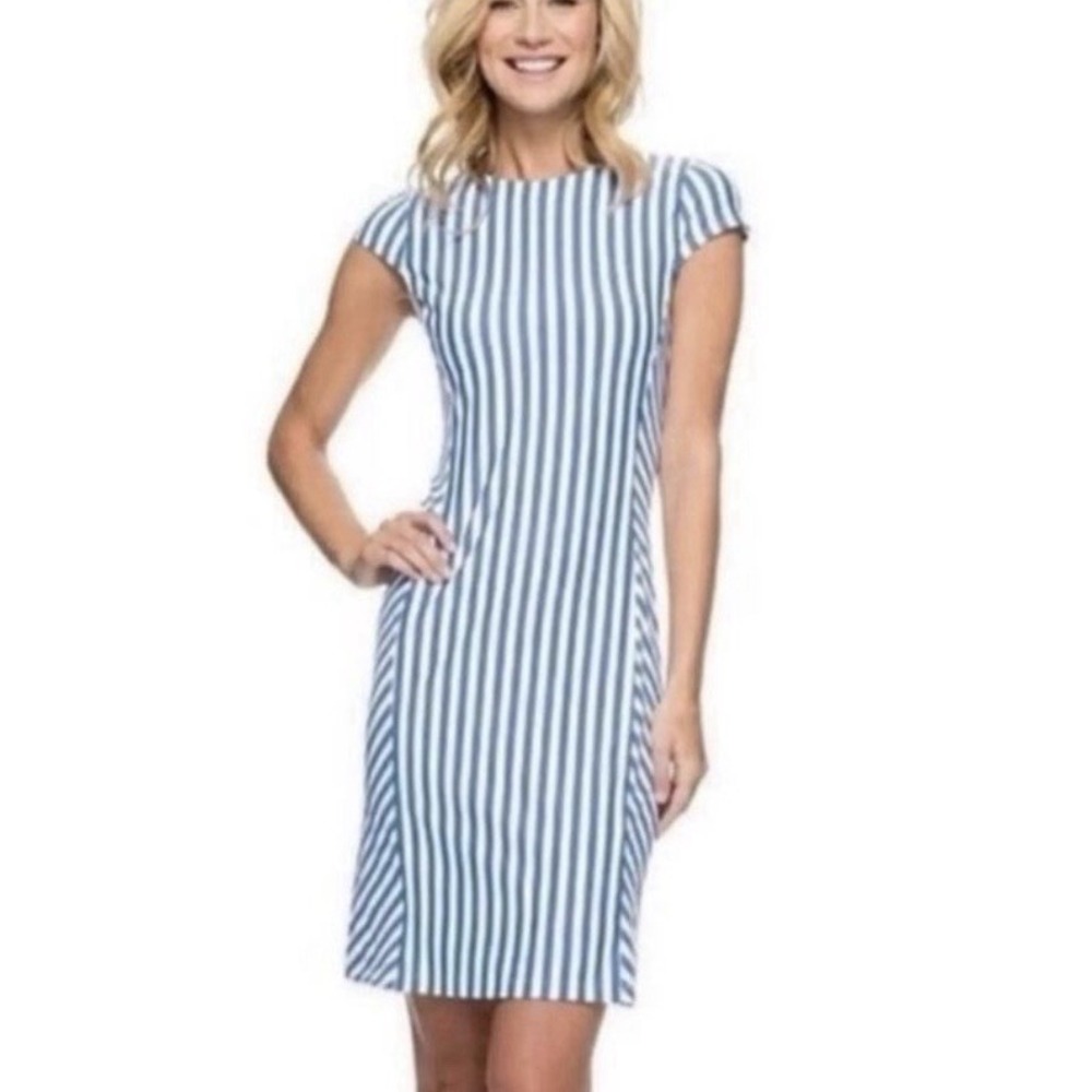 J. McLaughlin Helena Vertical Strip Dress Blue White Catalina Size Small Coastal